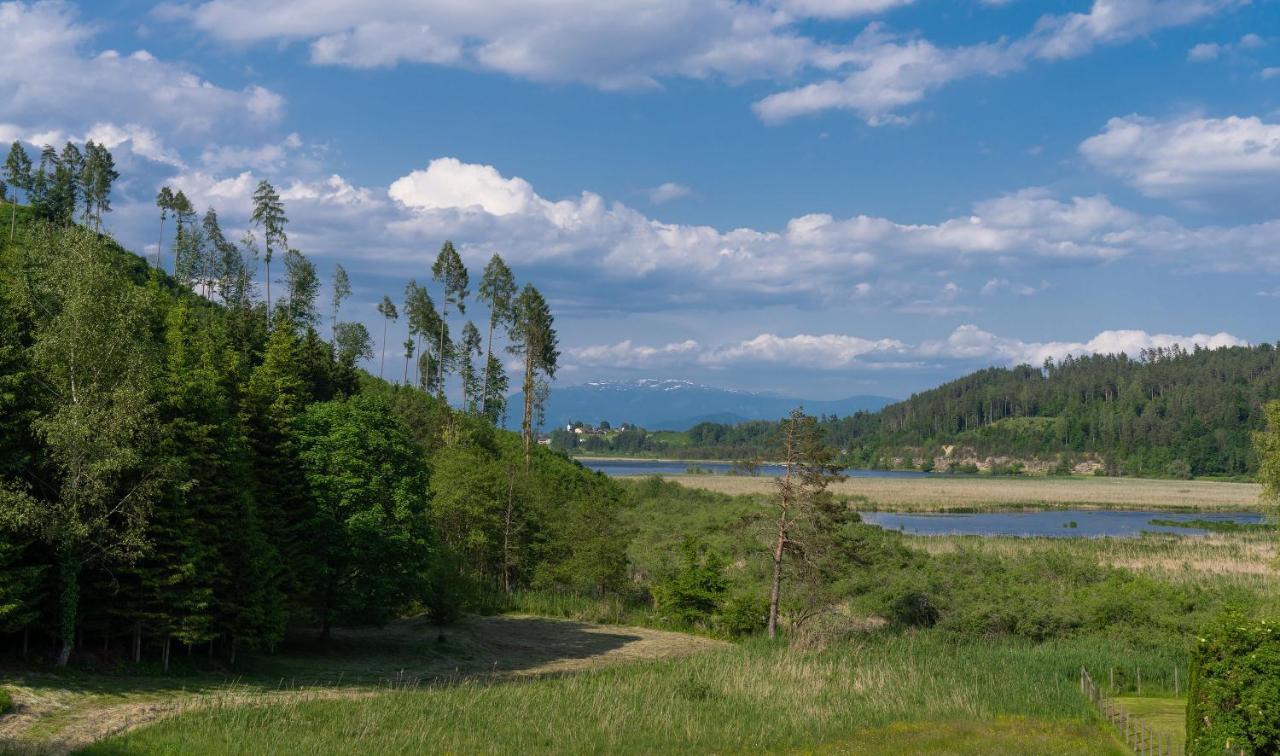 Sittersdorf B&B Goesselsdorfer Seeblick المظهر الخارجي الصورة